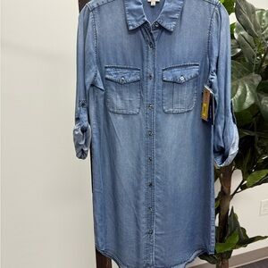Daniel Cremieux Light Blue Denim Shirt Dress